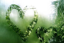 足总杯倒计时；曼城赛后迎来里程碑；细节引发关注；引发热议；训练强度明显提升的简单介绍